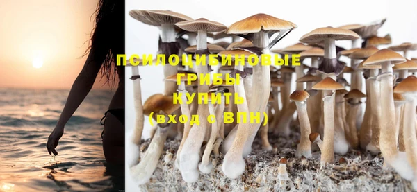 круглые Алексеевка